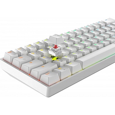 מקלדת גיימינג Dragon מכנית GPDRA MMK61 RGB לבן