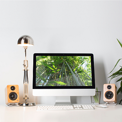 KANTO YU2 במבוק – זוג רמקולים מוגברים שולחניים עם DAC USB | Playstore