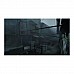 Silent Hill f ל-Xbox Series X