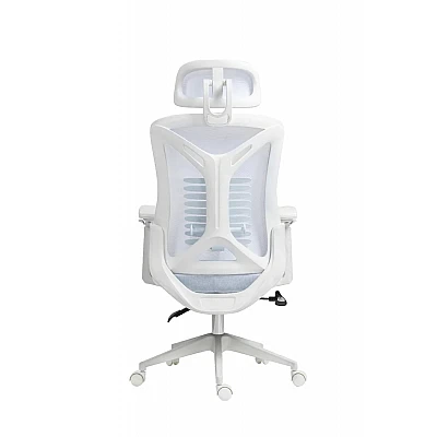 כיסא משרד ארגונומי בצבע לבן | Dragon Smart Tech דגם GPDRC-R70-W כיסא משרד ארגונומי בצבע לבן | Dragon Smart Tech דגם GPDRC-R70-W