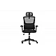 כיסא משרד ארגונומי Dragon Smart Tech R40 שחור
