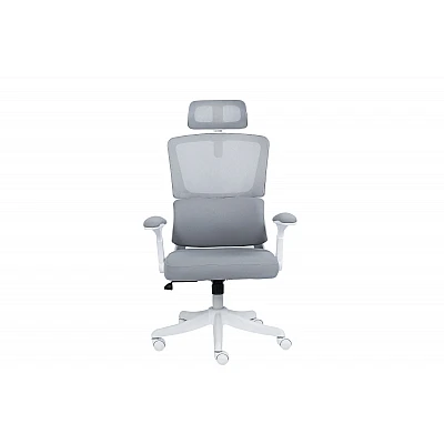 כיסא משרד ארגונומי Dragon Smart Tech R40 לבן אפור כיסא משרד ארגונומי Dragon Smart Tech R40 לבן אפור