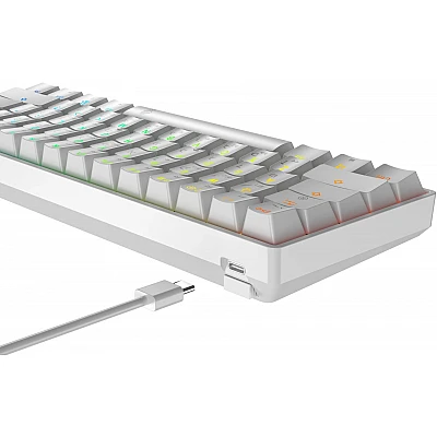 מקלדת גיימינג Dragon מכנית GPDRA MMK61 RGB לבן