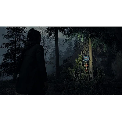 Alan Wake 2 Deluxe Edition ל-PS5 – מהדורת דלוקס