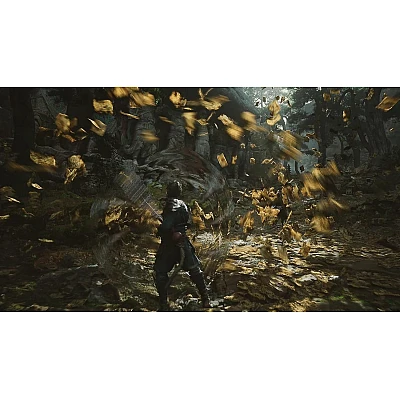 Black Myth: Wukong ל-PS5 Black Myth: Wukong ל-PS5