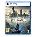 Hogwarts Legacy ל-PS5