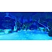 The Smurfs 2: The Prisoner of the Green Stone ל-PS5 The Smurfs 2: The Prisoner of the Green Stone ל-PS5