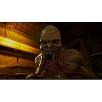 S.T.A.L.K.E.R. 2: Heart of Chornobyl ל-PS5