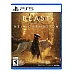 משחק Beast of Reincarnation ל־PS5