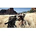 משחק Crimson Desert - Day One Edition ל-PS5 משחק Crimson Desert - Day One Edition ל-PS5