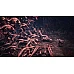 Devil May Cry 5 Special Edition ל-PS5 Devil May Cry 5 Special Edition ל-PS5