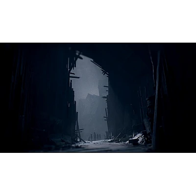 משחק REANIMAL ל-PS5