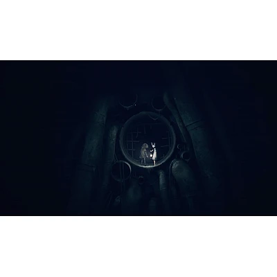 משחק REANIMAL ל-PS5