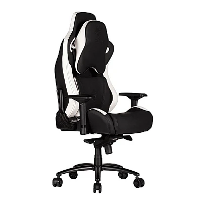 כיסא גיימרים Dragon דגם GT DLX צבע שחור לבן